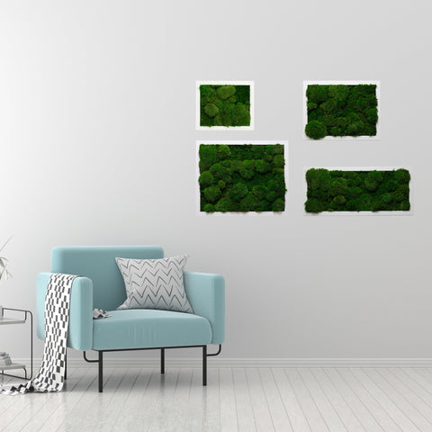 Moss Wall Art