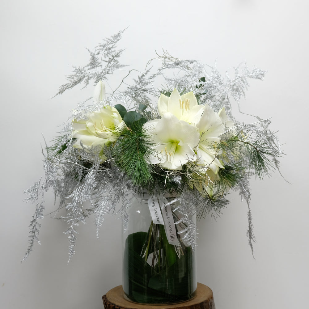 Christmas White Amaryllis in Vase. The rich look of White Amaryllis and silver foliage in a glass vase. Please place your order by 1 pm for Same Day Flower Delivery in Dublin or Next Day Flowers Delivery Ireland and also Raheny Free Delivery.