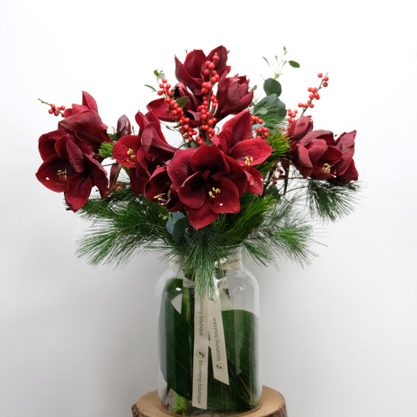 Christmas Red Amaryllis in Vase. Red Amaryllis and Red Ilex berry. The Flower Bouquet includes the vase. We deliver flowers throughout Dublin and Ireland. Please place your order by 1 pm for Same Day Flower Delivery in Dublin or Next Day Flowers Delivery Ireland and also Raheny Free Delivery.
