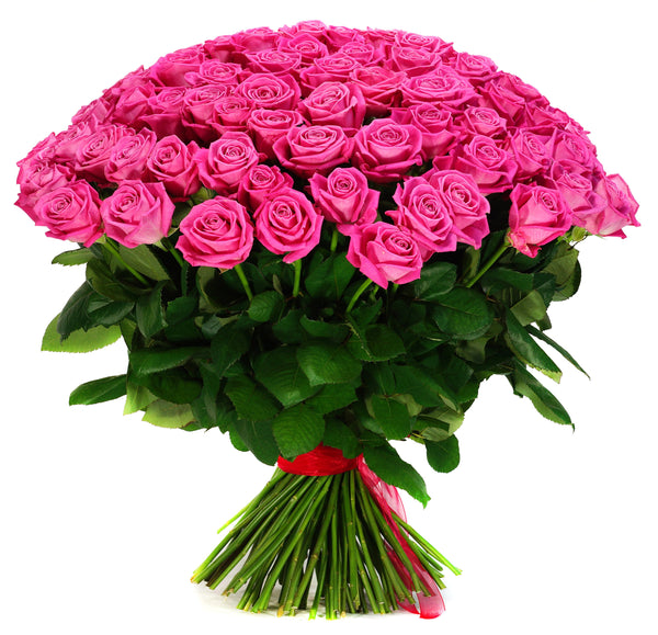 Luxurious Pink Roses Flower Bouquet. Medium size contains 12 large pink roses, Gypsophila, and fresh foliage  Large size contains 24 large pink roses, Gypsophila, and fresh foliage  Extra Large size contains 36 large pink roses, Gypsophila, and fresh foliage  We deliver flowers throughout Dublin and Ireland.