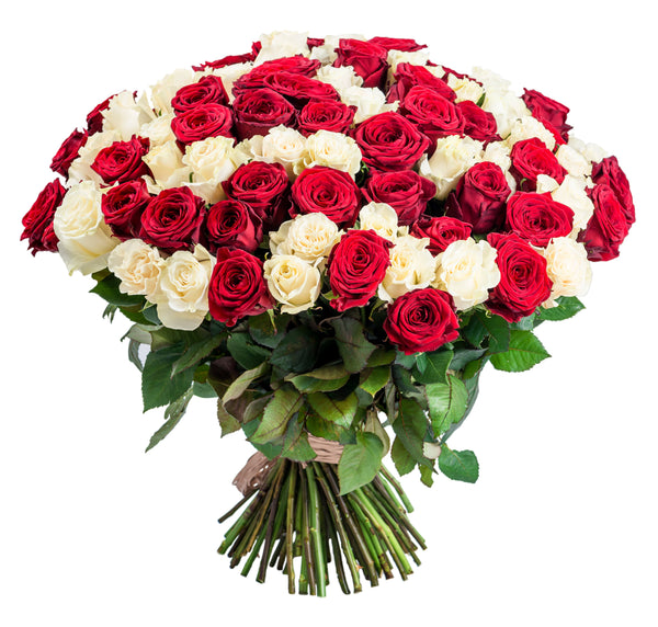 Large size contains a combination of 24 large red and white roses with Gypsophila and fresh foliage.  Extra large size contains a combination of 48 large red and white roses with Gypsophila and fresh foliage.  We deliver flowers throughout Dublin and Ireland.