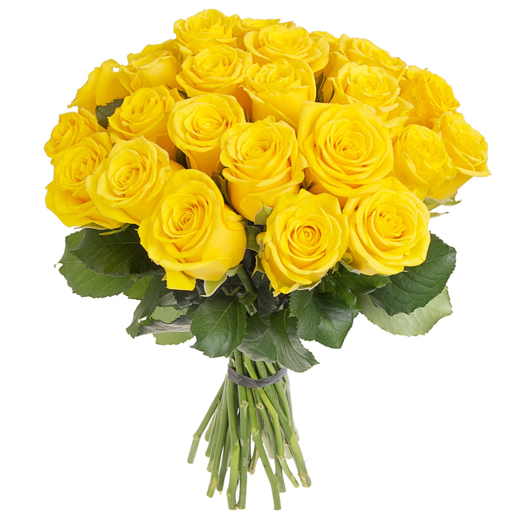 Yellow Roses Flower Bouquet Medium size contains 12 roses and fresh foliage. Lage size contains 24 roses and fresh foliage. Same Day Flower Delivery Dublin or Next Day Flowers Delivery Ireland